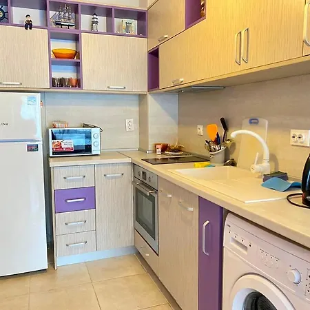 Paradise Deluxe 아파트 프리모르스코